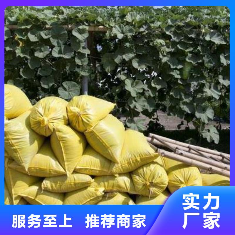 颗粒菌肥好肥料