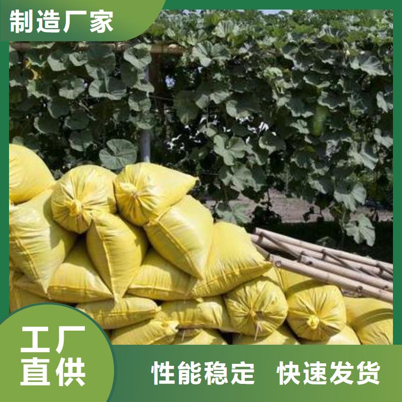 颗粒菌肥价格合适