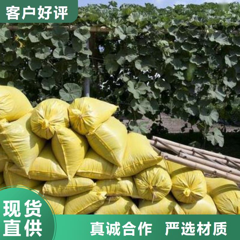 颗粒菌肥农民丰收的帮手