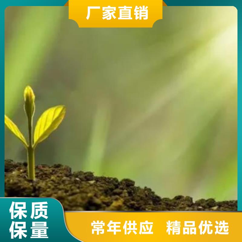 颗粒菌肥农民丰收的帮手