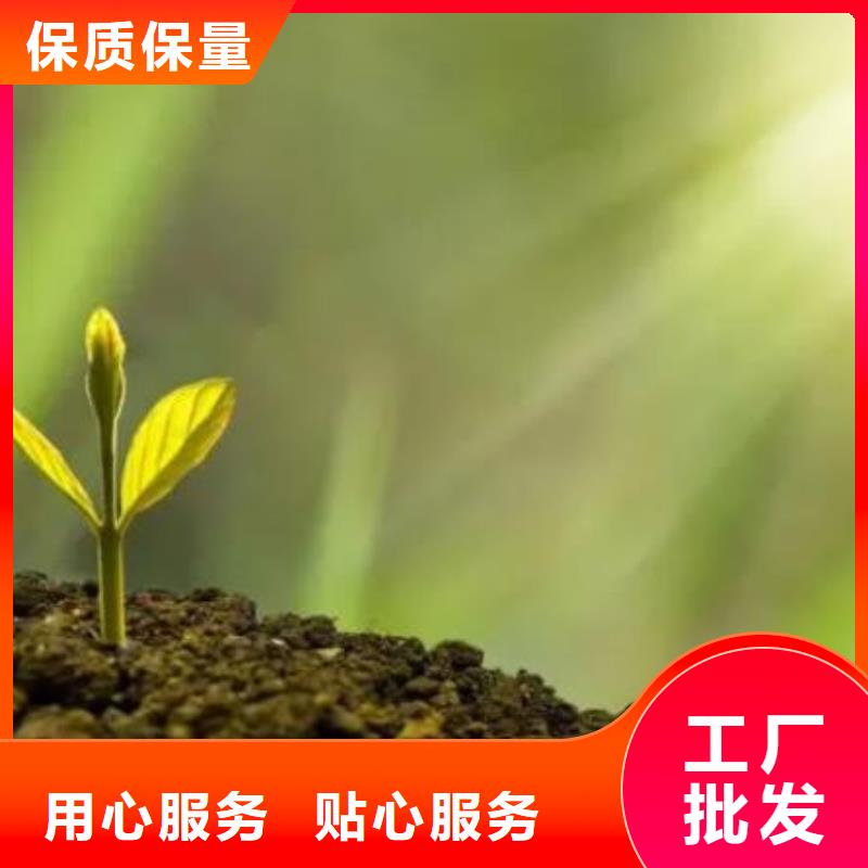 深圳市华富街道稻壳鸡粪抗盐碱