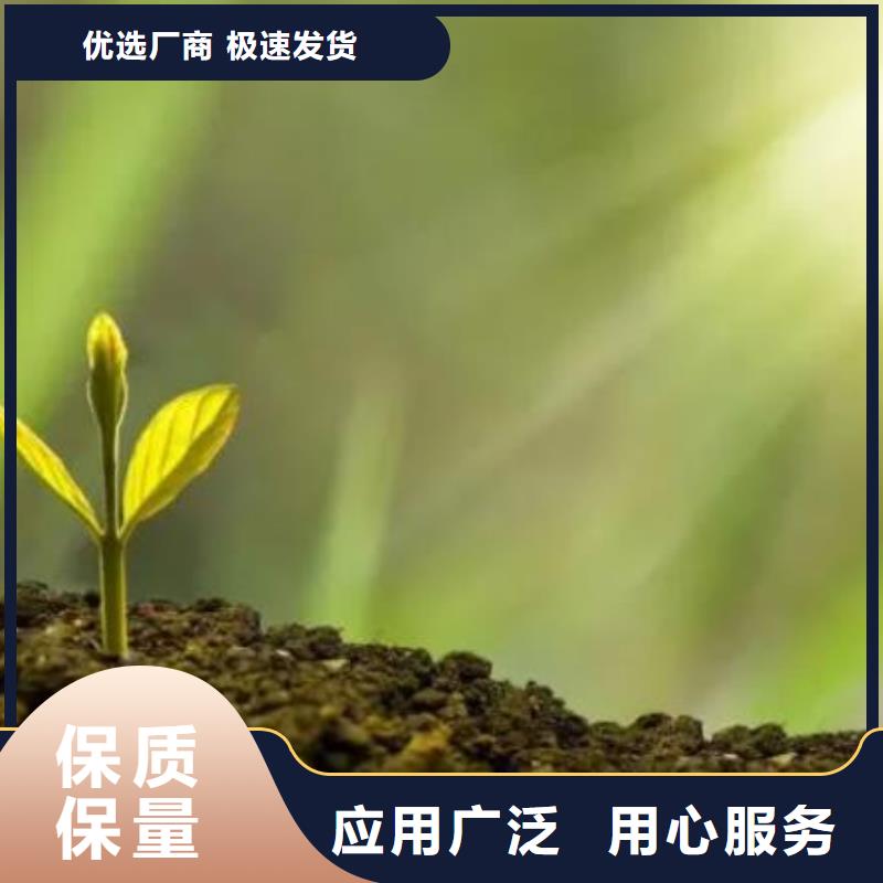 颗粒菌肥价格合适