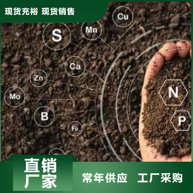 有机肥市场在哪里