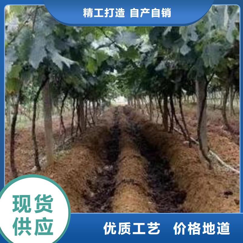 有机肥合理施肥