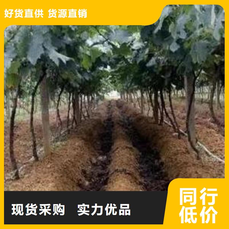 发酵鸡粪施肥技术