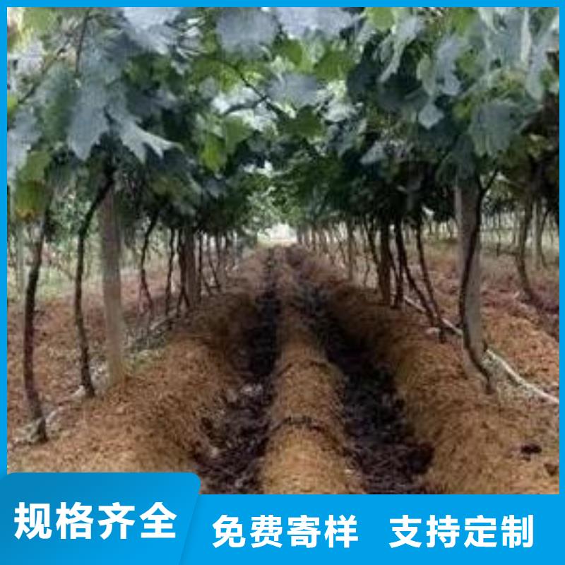 颗粒菌肥农民丰收的帮手
