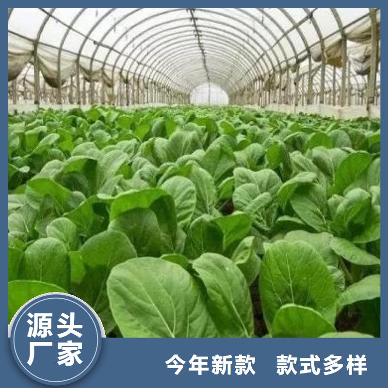颗粒菌肥农民丰收的帮手