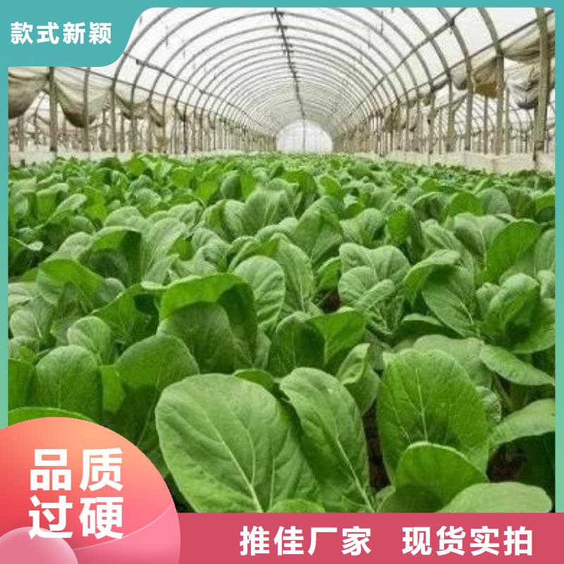 深圳市华富街道稻壳鸡粪抗盐碱