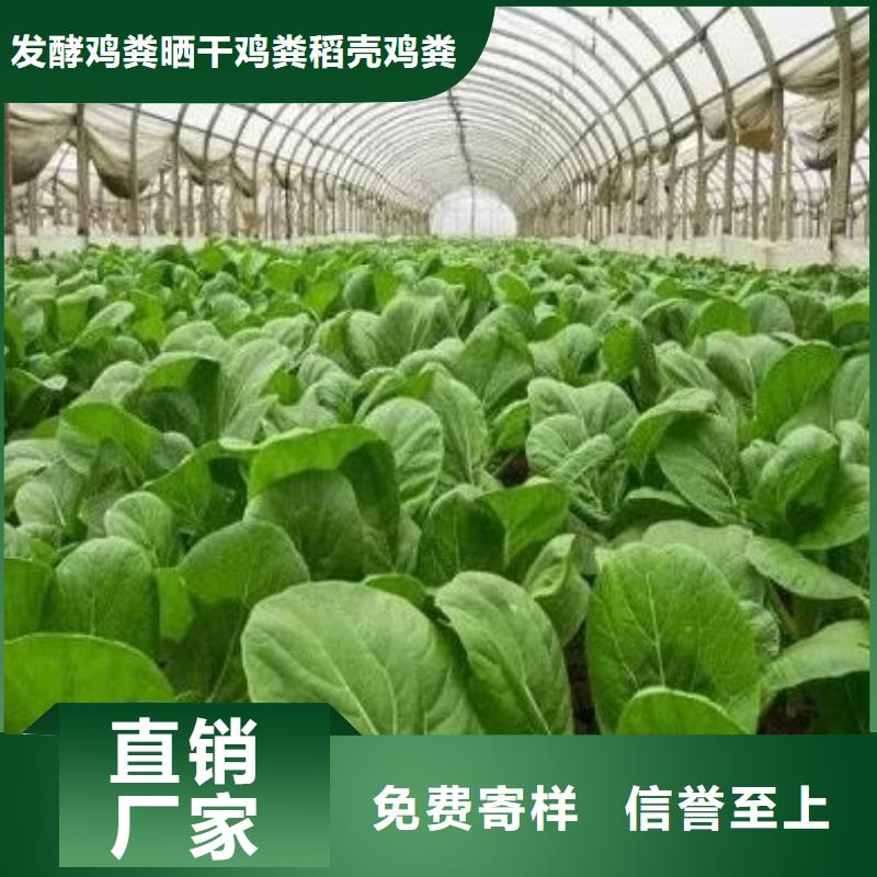 颗粒菌肥价格合适