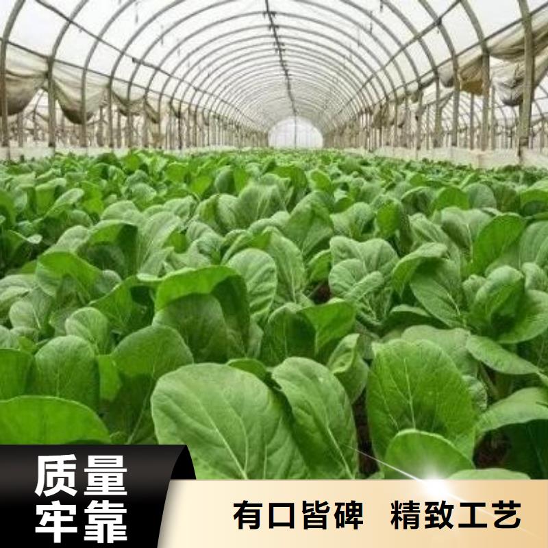 颗粒菌肥好肥料