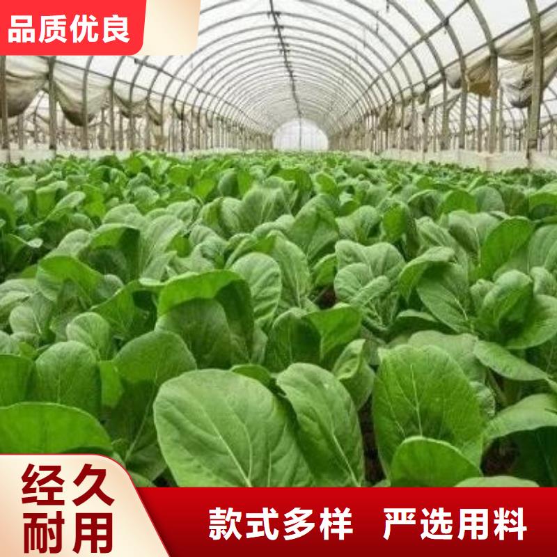 有机肥合理施肥
