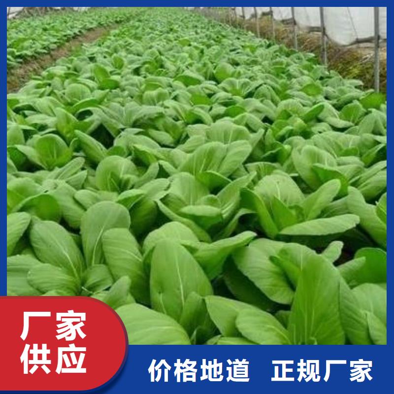 稻壳鸡粪保真