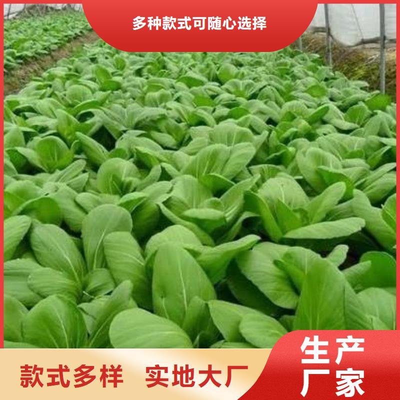 稻壳鸡粪价格合适
