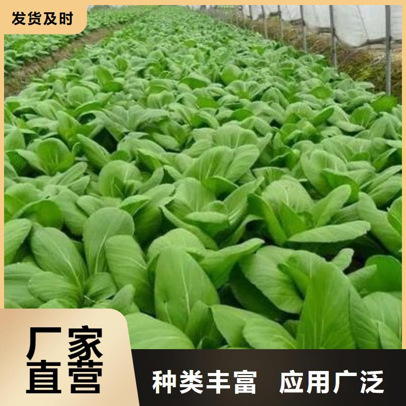 有机肥合理施肥