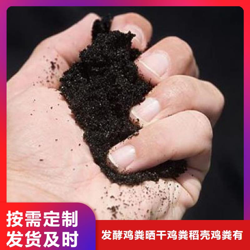 颗粒菌肥价格合适