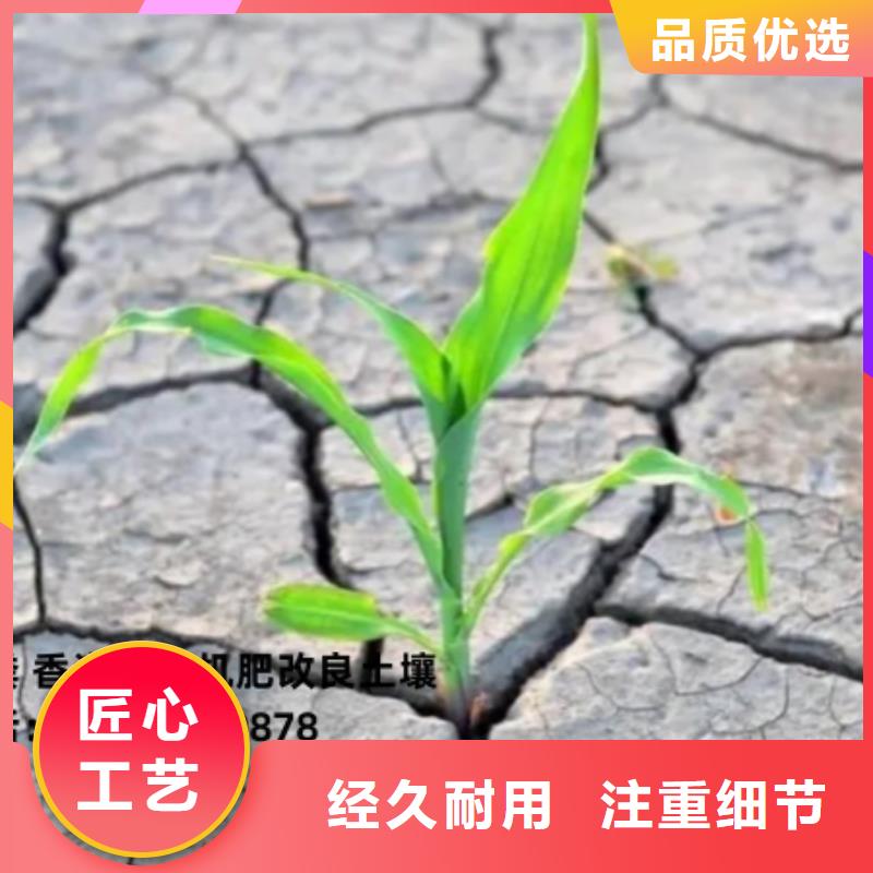 有机肥地址在哪