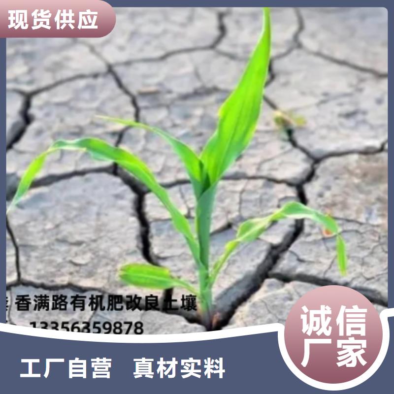 河北保定定兴干鸡粪生产基地