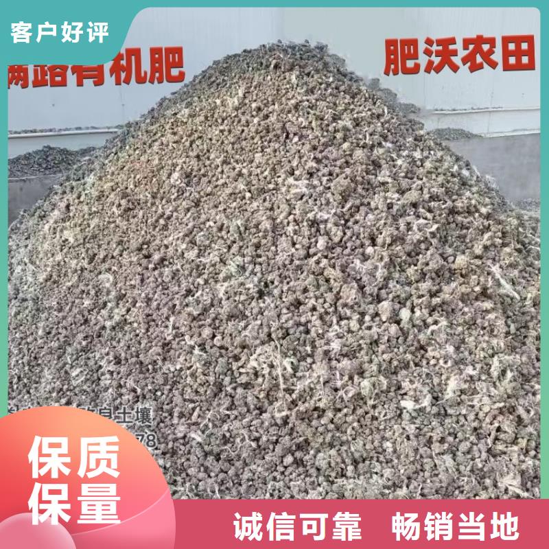 羊粪有机肥大姜施肥