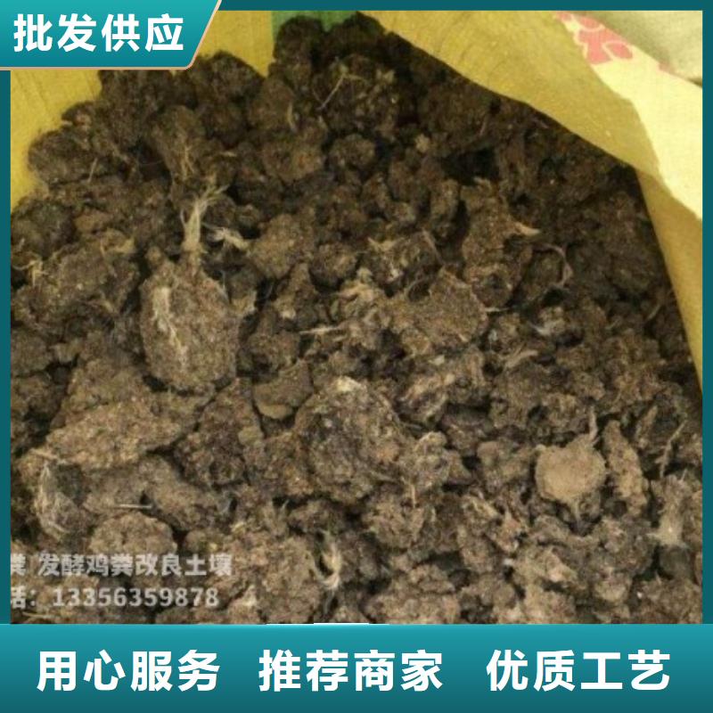 干鸡粪种类