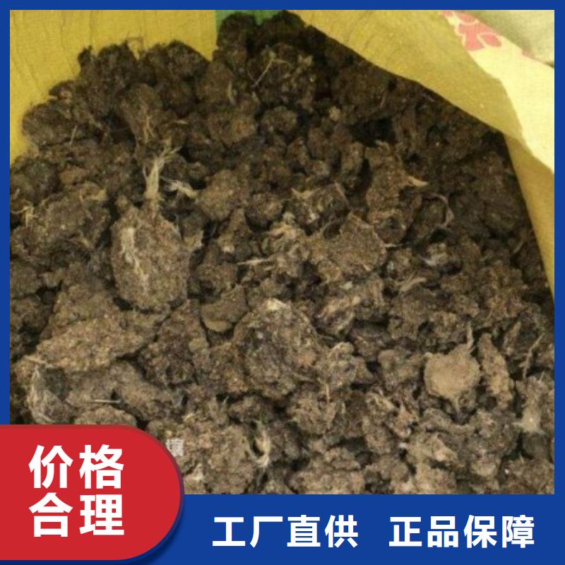 干鸡粪块土壤好帮手