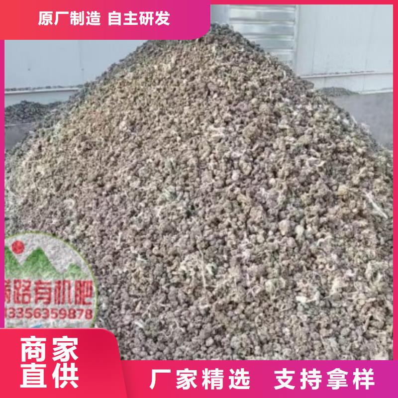 发酵鸡粪养苗
