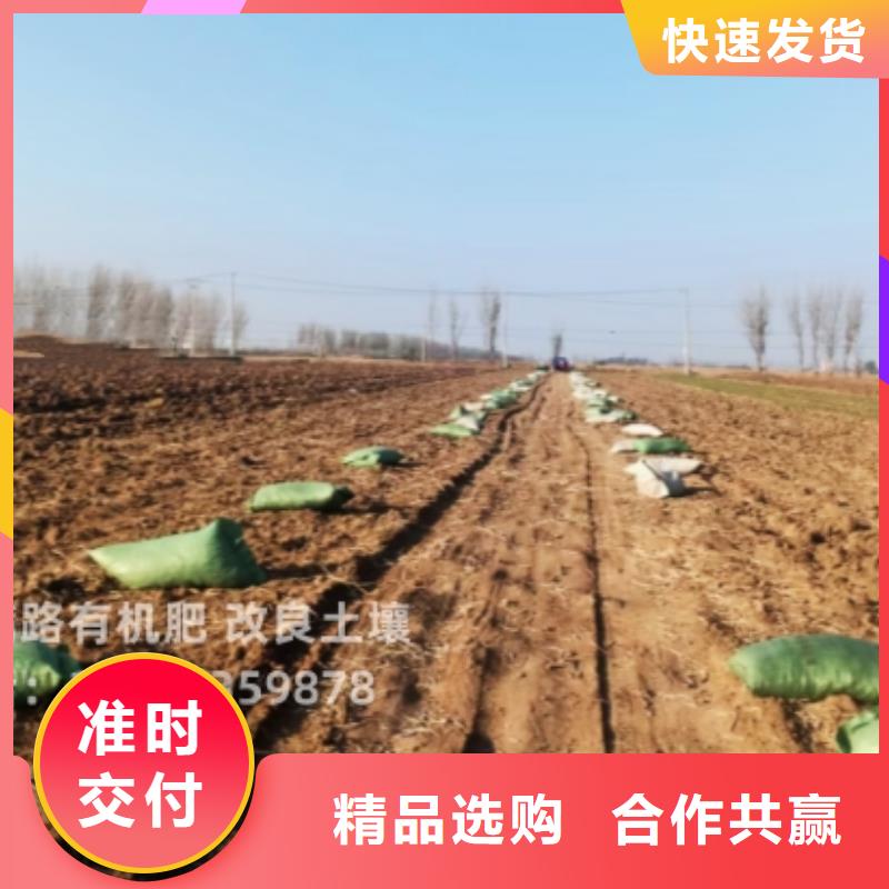 稻壳鸡粪成色上乘