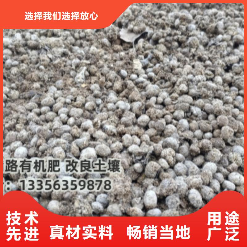 深圳市新桥街道发酵鸡粪生产基地