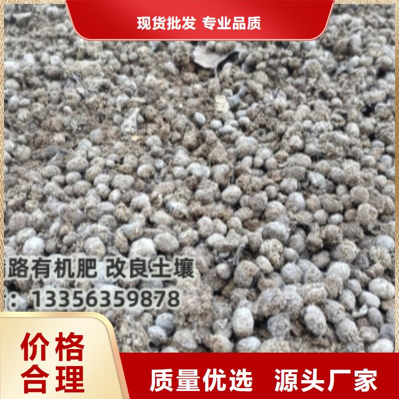 干鸡粪助力新农村发展