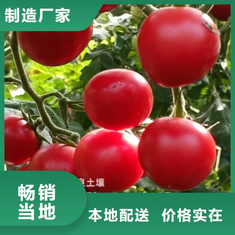 干鸡粪从哪里购进的