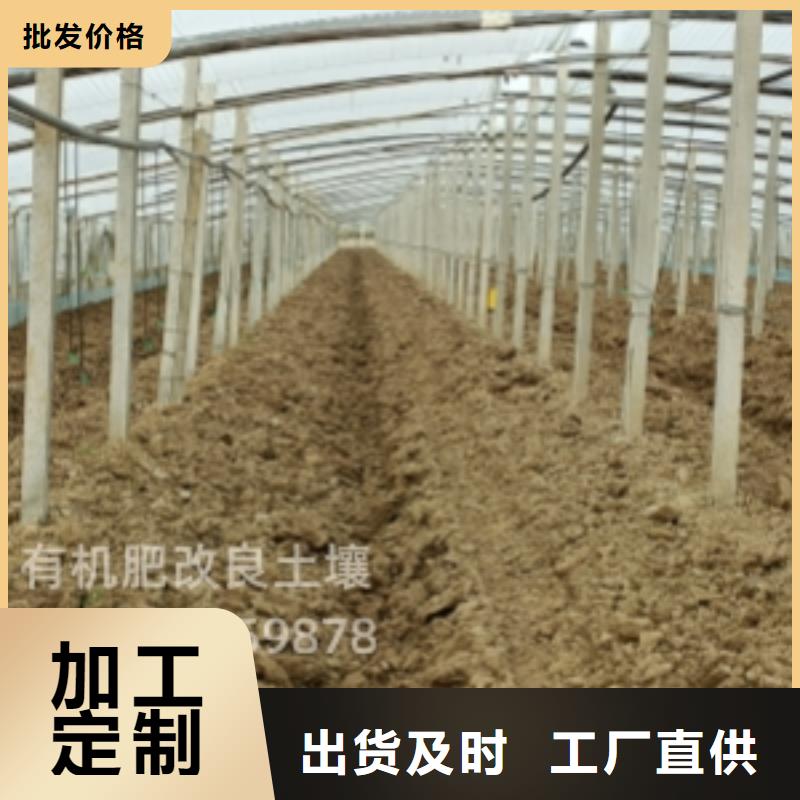 干鸡粪块菜农必看
