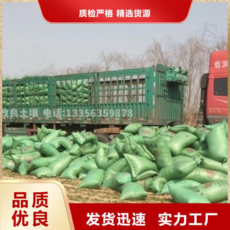 汕头市陈店镇干鸡粪块提高西瓜产量