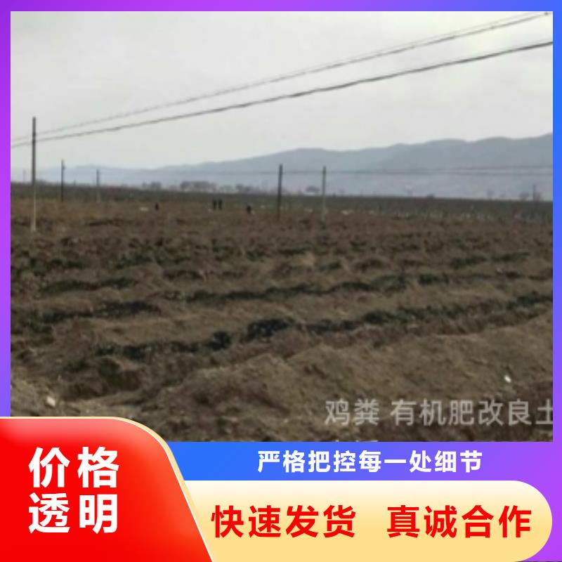 有机肥资讯