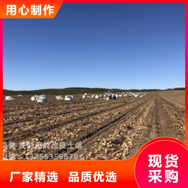 发酵鸡粪根系发达