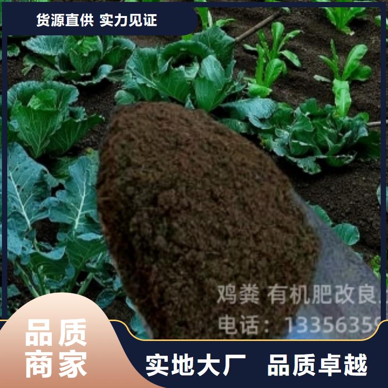发酵鸡粪增肥农田