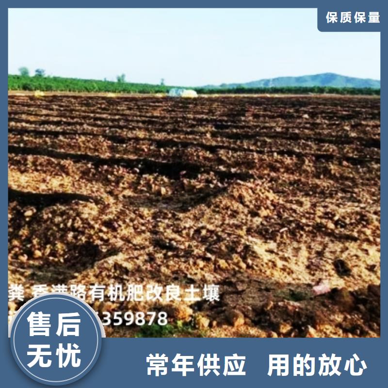 发酵鸡粪朋友圈里都知道