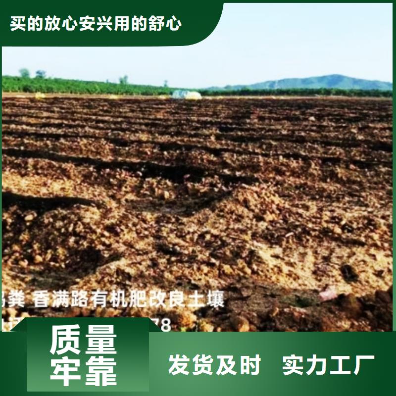干鸡粪块菜农必看