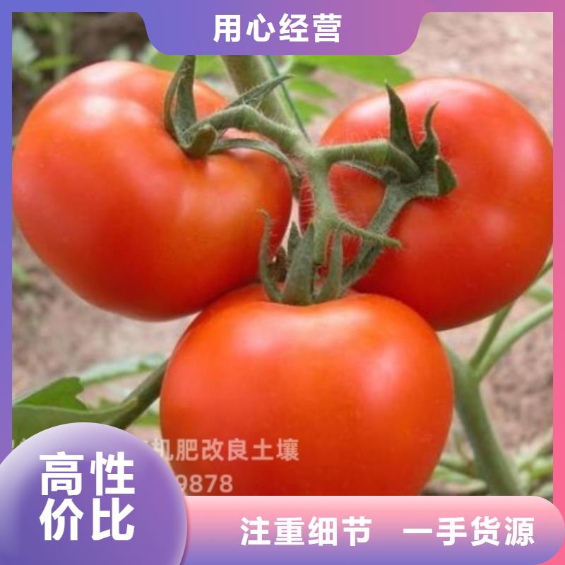 有机肥肥效不赖