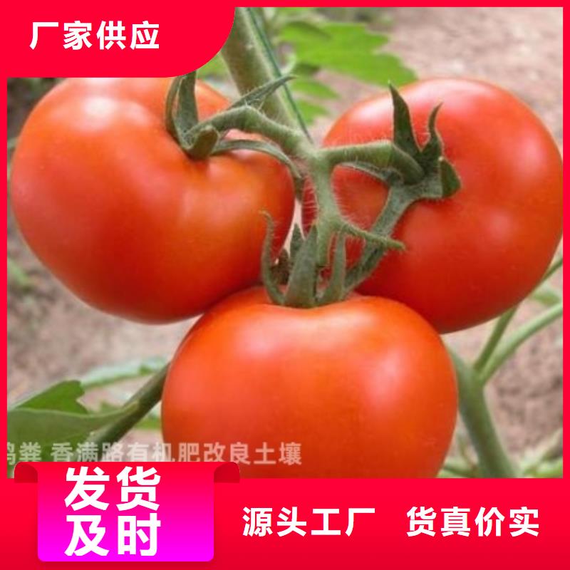 干鸡粪价钱
