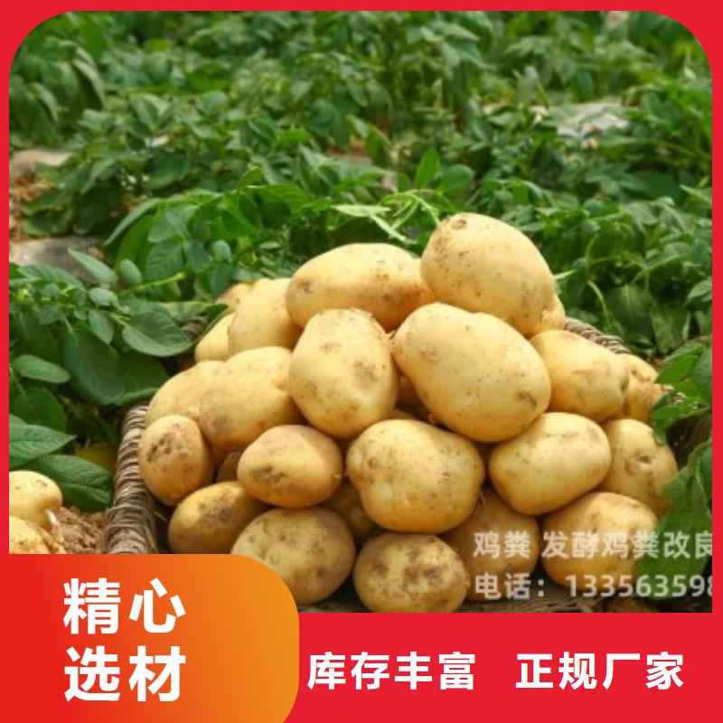 干鸡粪厂家