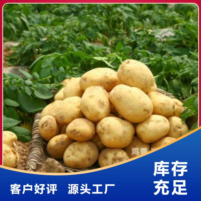 汕头市光华街道干鸡粪哪家好