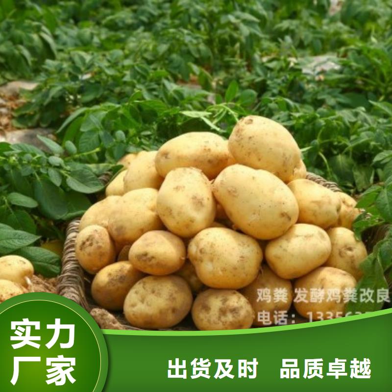 发酵鸡粪肥水肥田