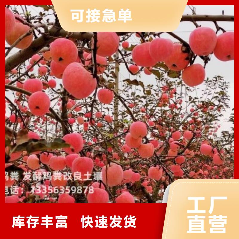 有机肥信息