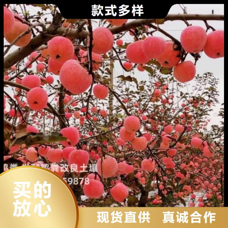 鸡粪有机肥专门改良农田
