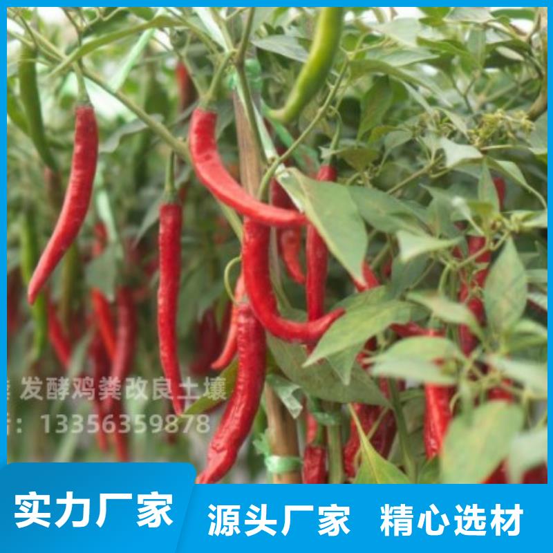 生物有机肥厂家直销