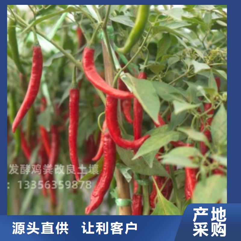 干鸡粪技术指导