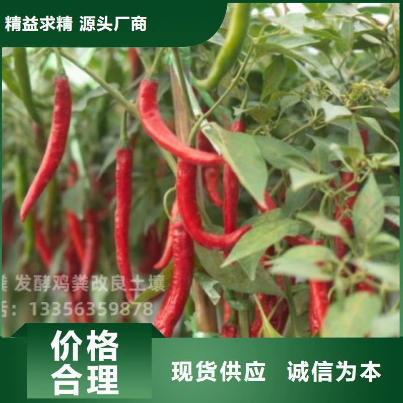 发酵鸡粪好农家肥