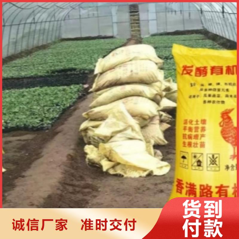 稻壳鸡粪-视频-睢阳|永城|三门峡|信阳|漯河|郑州|南阳|驻马店稻壳鸡粪海量货源-发酵鸡粪晒干鸡粪稻壳鸡粪有机肥香满路(商丘市分公司)