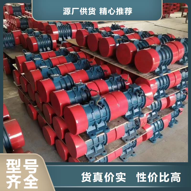 振动电机防爆电机供货及时