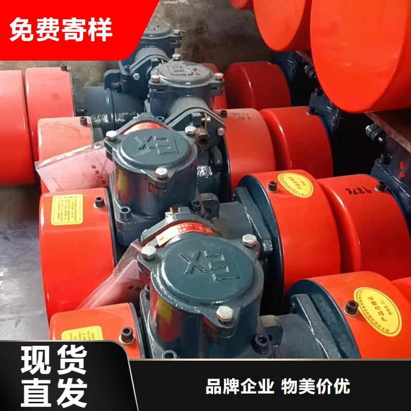 振动电机平板振动器厂家精心选材