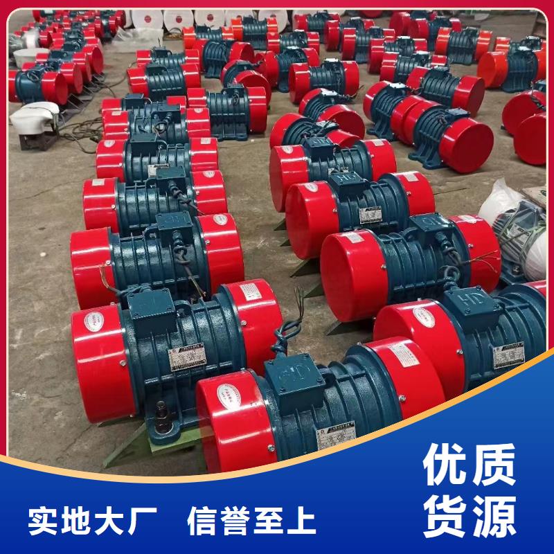赣县六级防爆振动电机